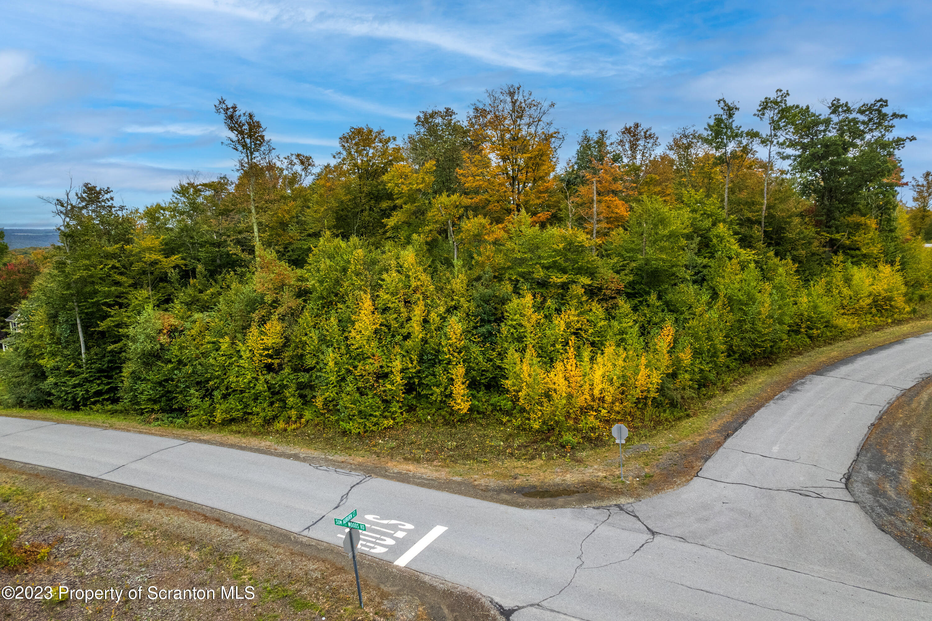 Lot 75 Summit Woods Road Moscow, PA 18444 - Photo 4 of 20 a view of a garden