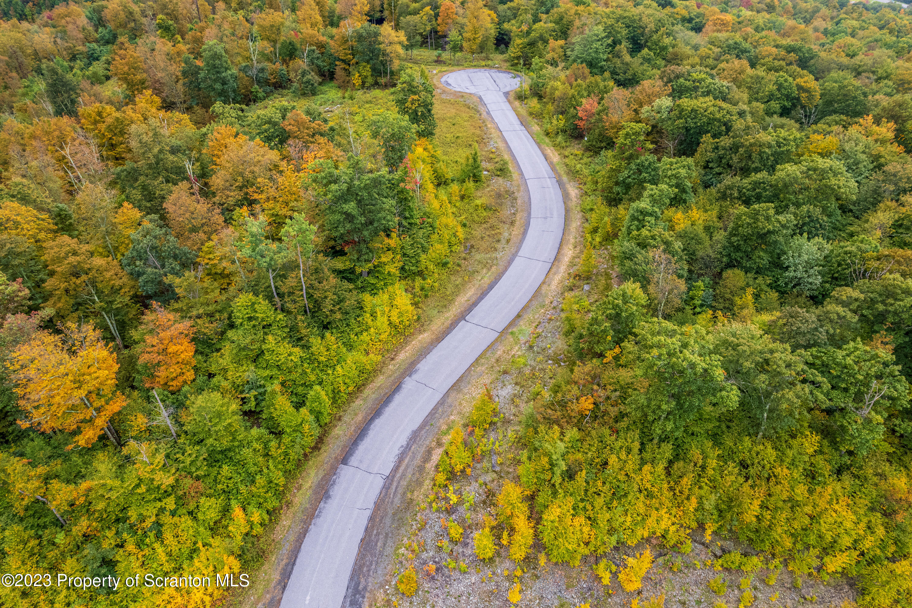 Lot 75 Summit Woods Road Moscow, PA 18444 - Photo 5 of 20 a view of a yard with a plant