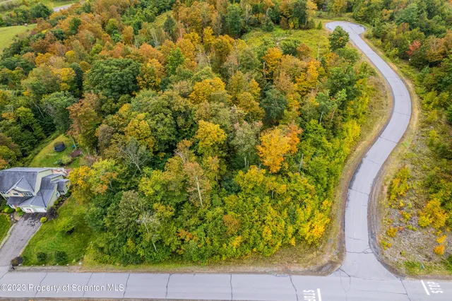 a view of a yard with plants