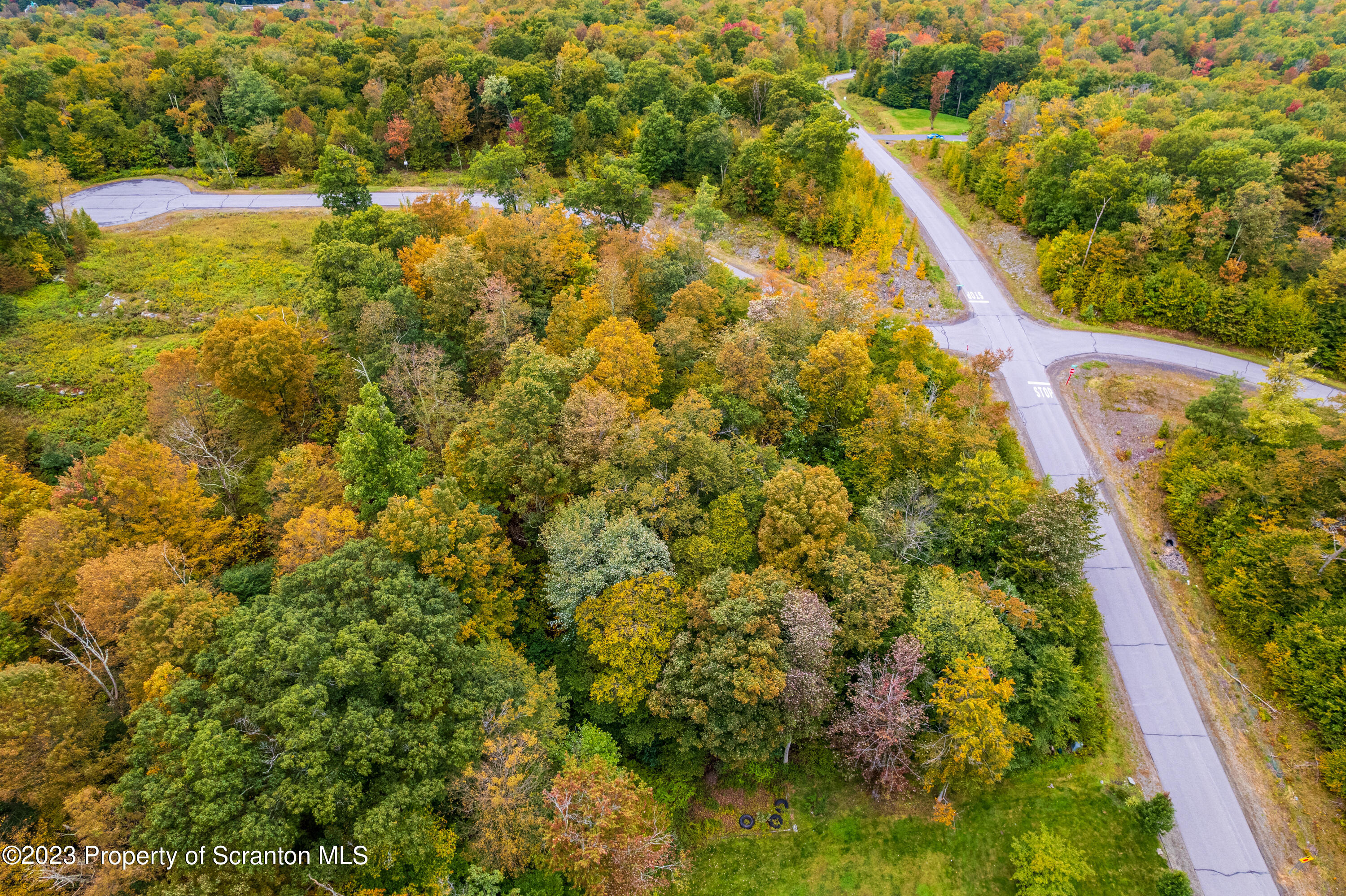 Lot 75 Summit Woods Road Moscow, PA 18444 - Photo 7 of 20 a view of a yard with plants