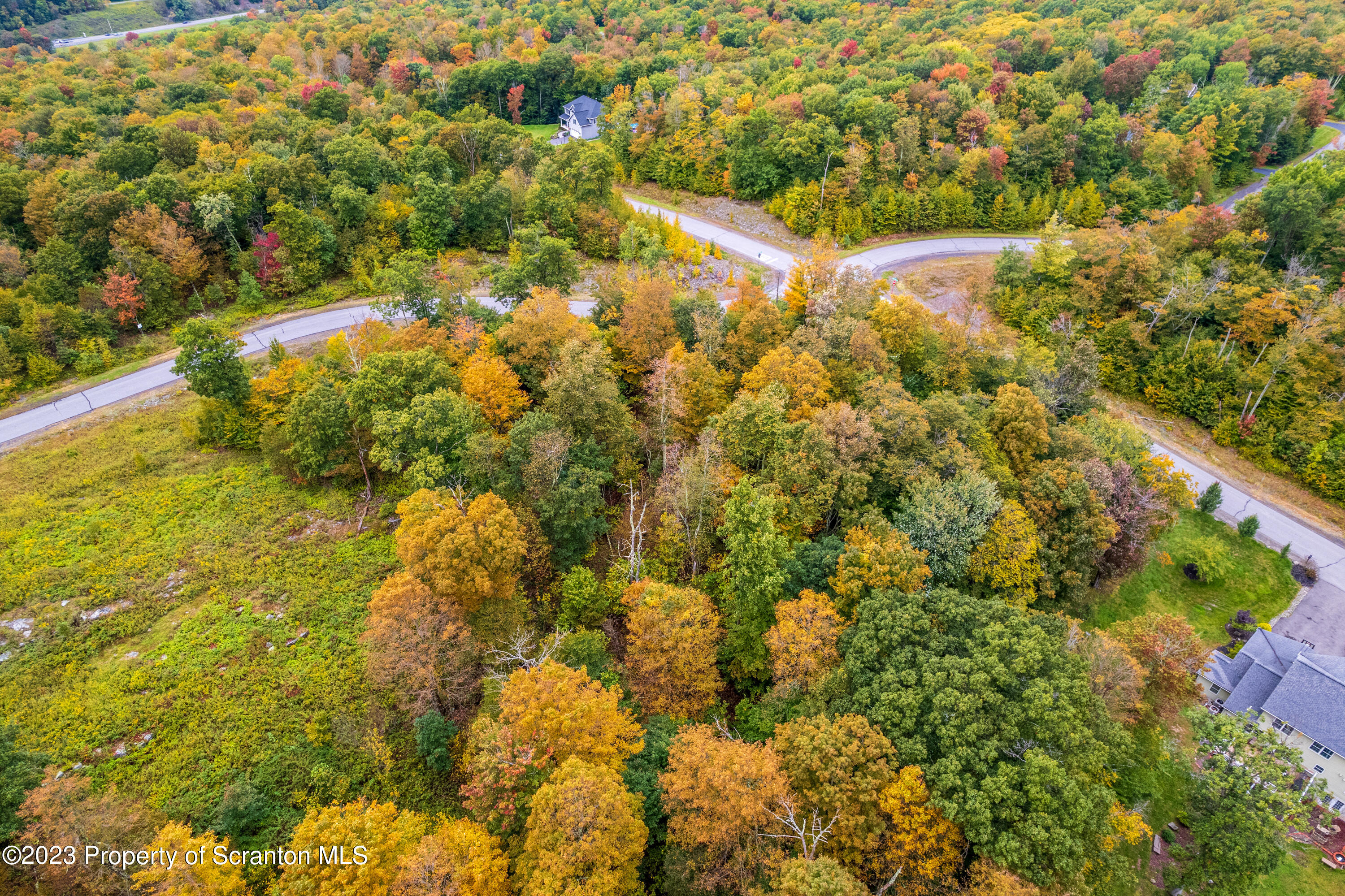 Lot 75 Summit Woods Road Moscow, PA 18444 - Photo 8 of 20 a view of a yard with plants