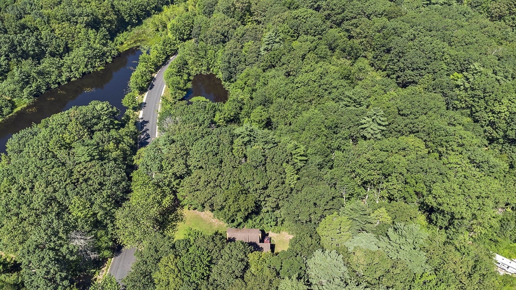30 Harper Ridge Road Hampstead, NH 03826 - Photo 8 of 41 a view of a lush green forest with lots of trees