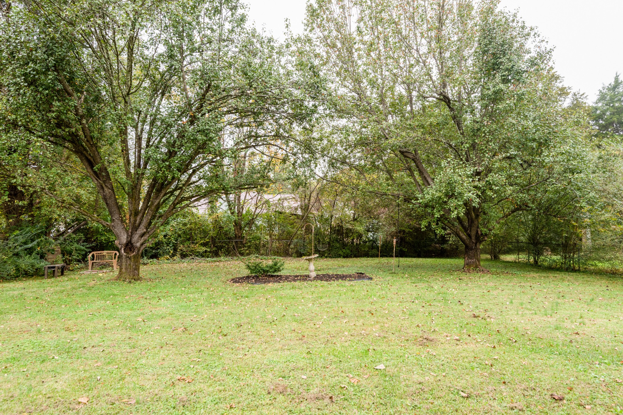 369 Cedarcliff Road Antioch, TN 37013 - Photo 22 of 24 a backyard of a house with lots of trees