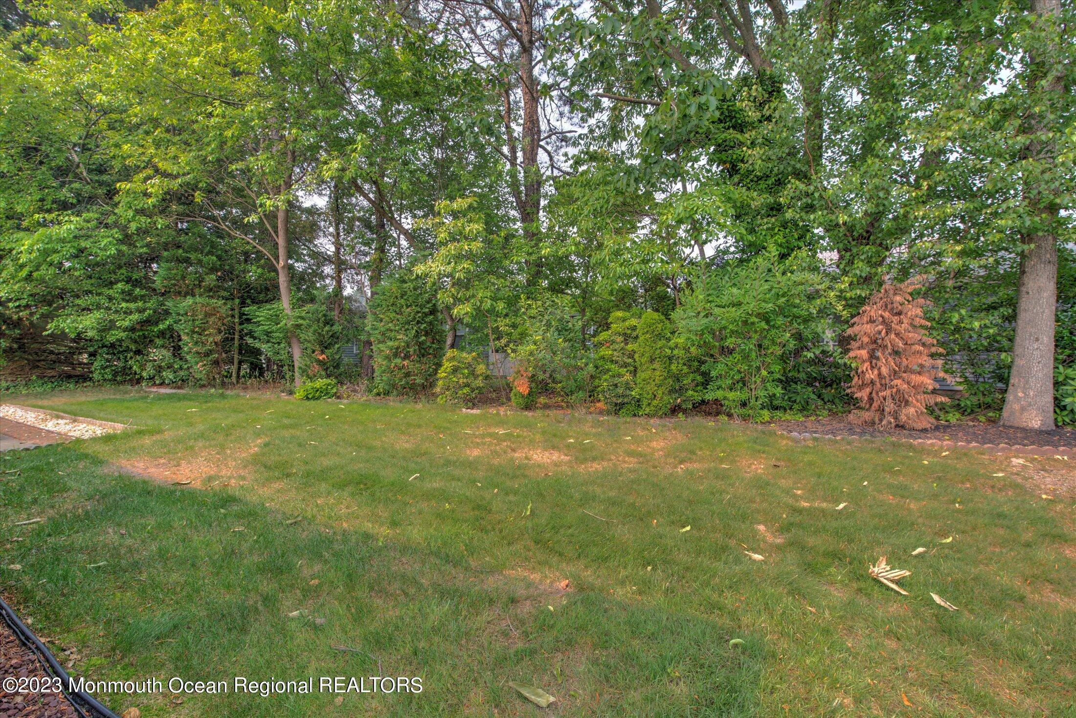19 Carter Way Brick, NJ 08723 - Photo 39 of 50 39-BACK YARD