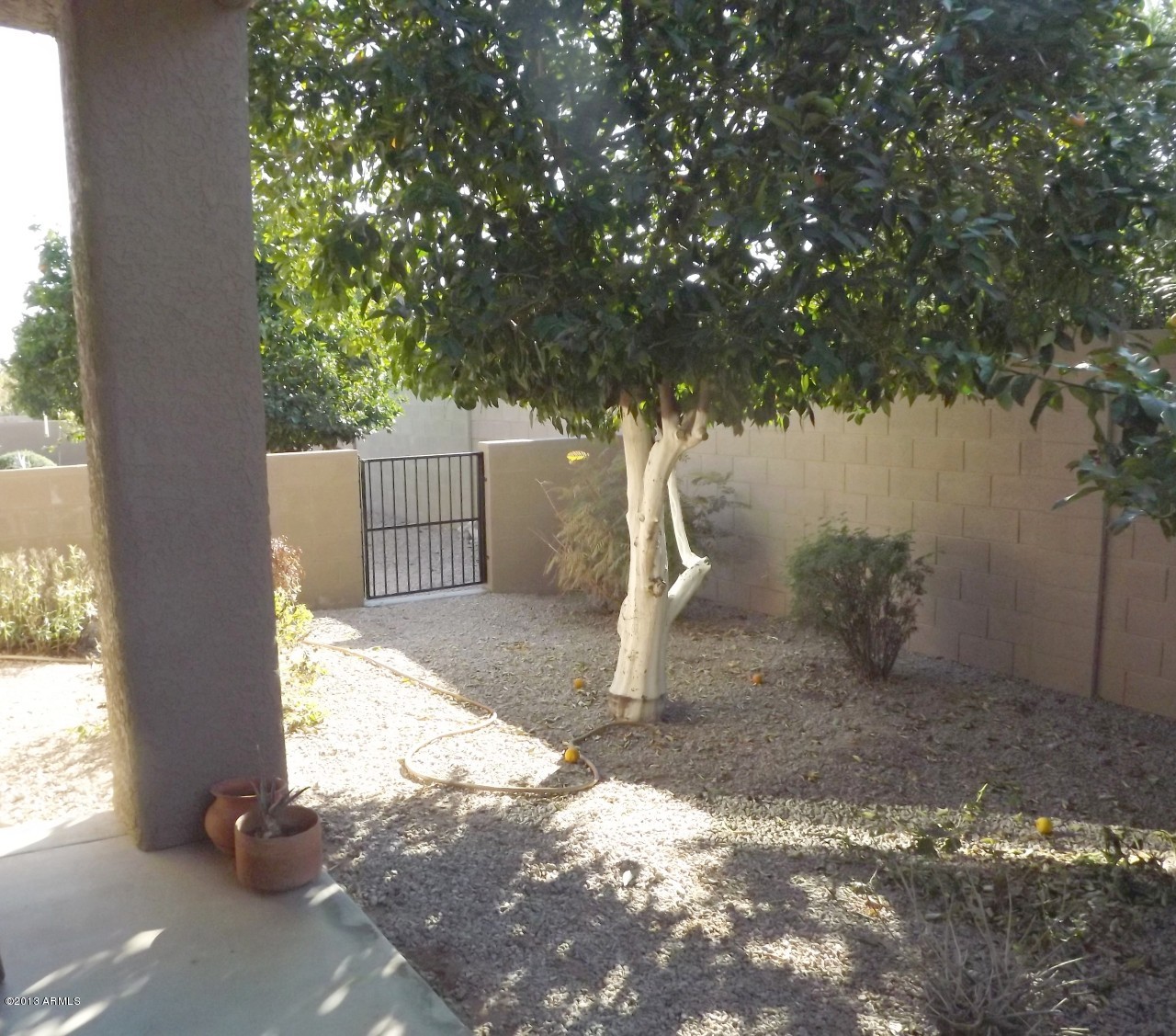 4202 East Broadway Road, Unit 68 Mesa, AZ 85206 - Photo 17 of 35 Backyard