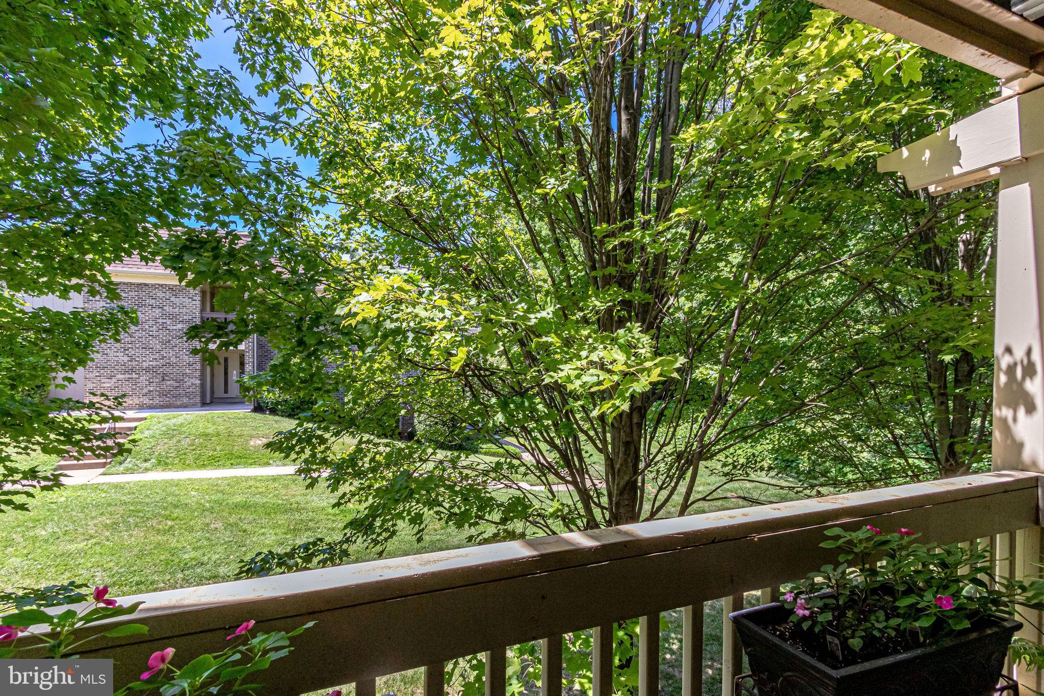 5760 P Rexford Court, Unit P Springfield, VA 22152 - Photo 6 of 40 Gallery Image 6