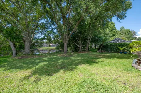 a view of a yard with plants and trees