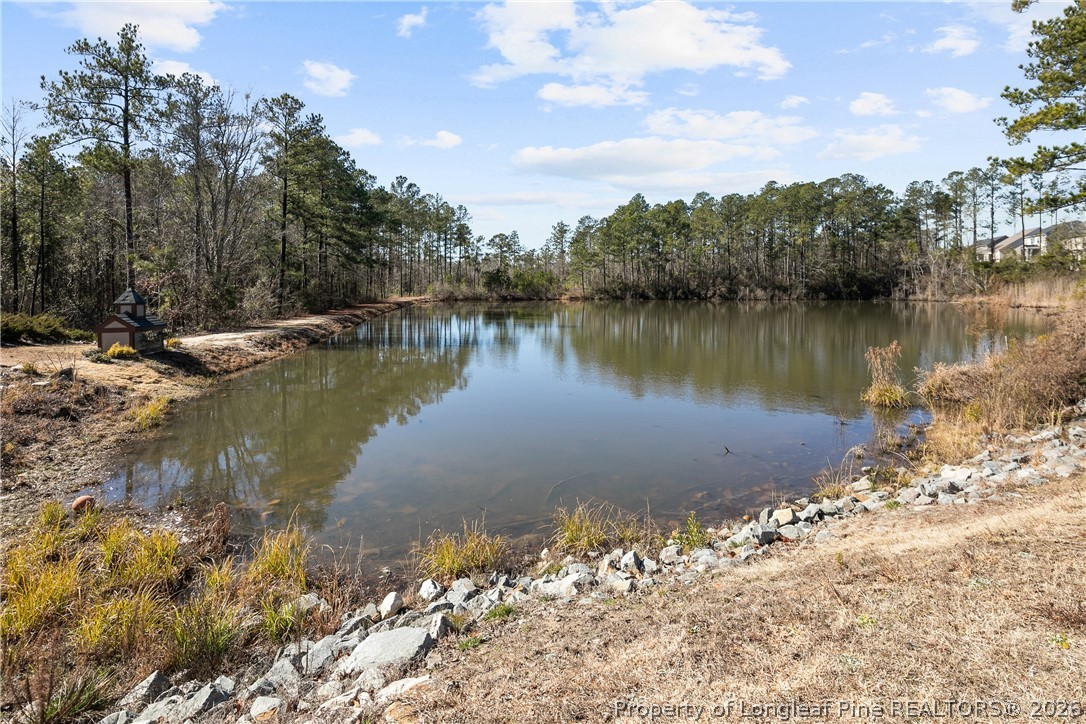 47 Pinnacle Drive Spring Lake, NC 28390 - Photo 50 of 50 a view of a lake with a large trees