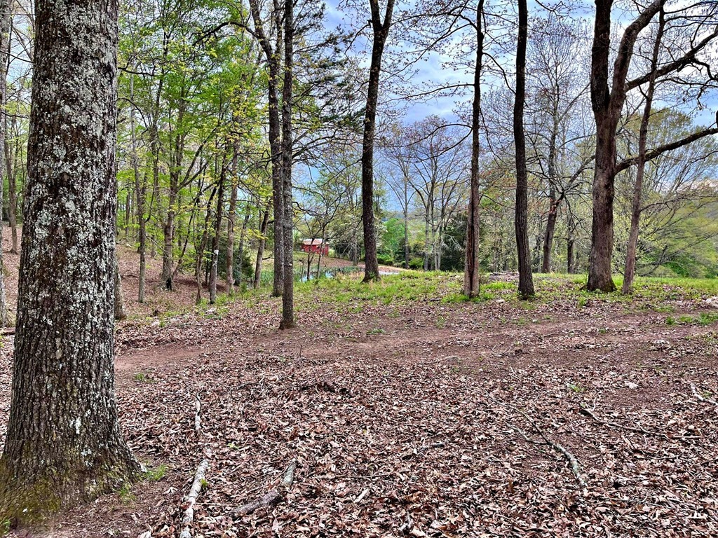 180 Shoemaker Lane Decatur, TN 37322 - Photo 31 of 70 Gallery Image 31