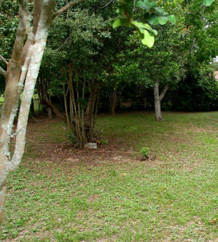 147 Juniper Lake Road DeFuniak Springs, FL 32433 - Photo 8 of 10 IMG_9712