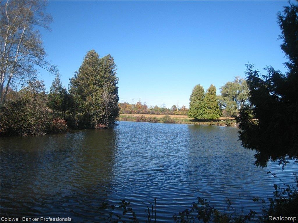 1752 Clark Road Lapeer, MI 48446 - Photo 24 of 25 Two Lakes & Spring Fed Pond