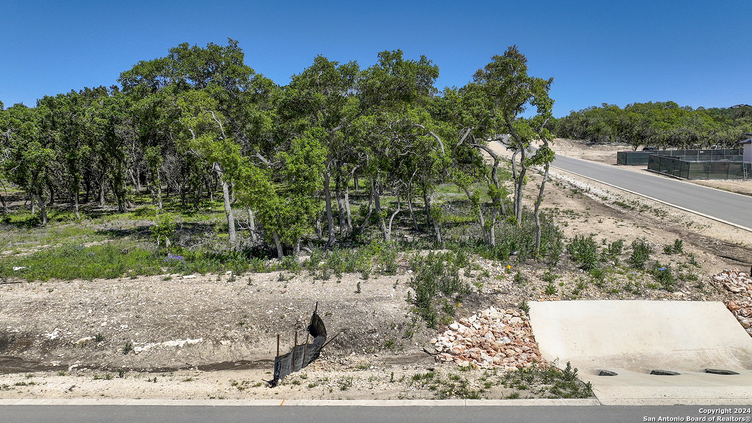 34744 Ansley Rdg Trail Bulverde, TX 78163 - Photo 14 of 39 a view of a yard and front view of a house