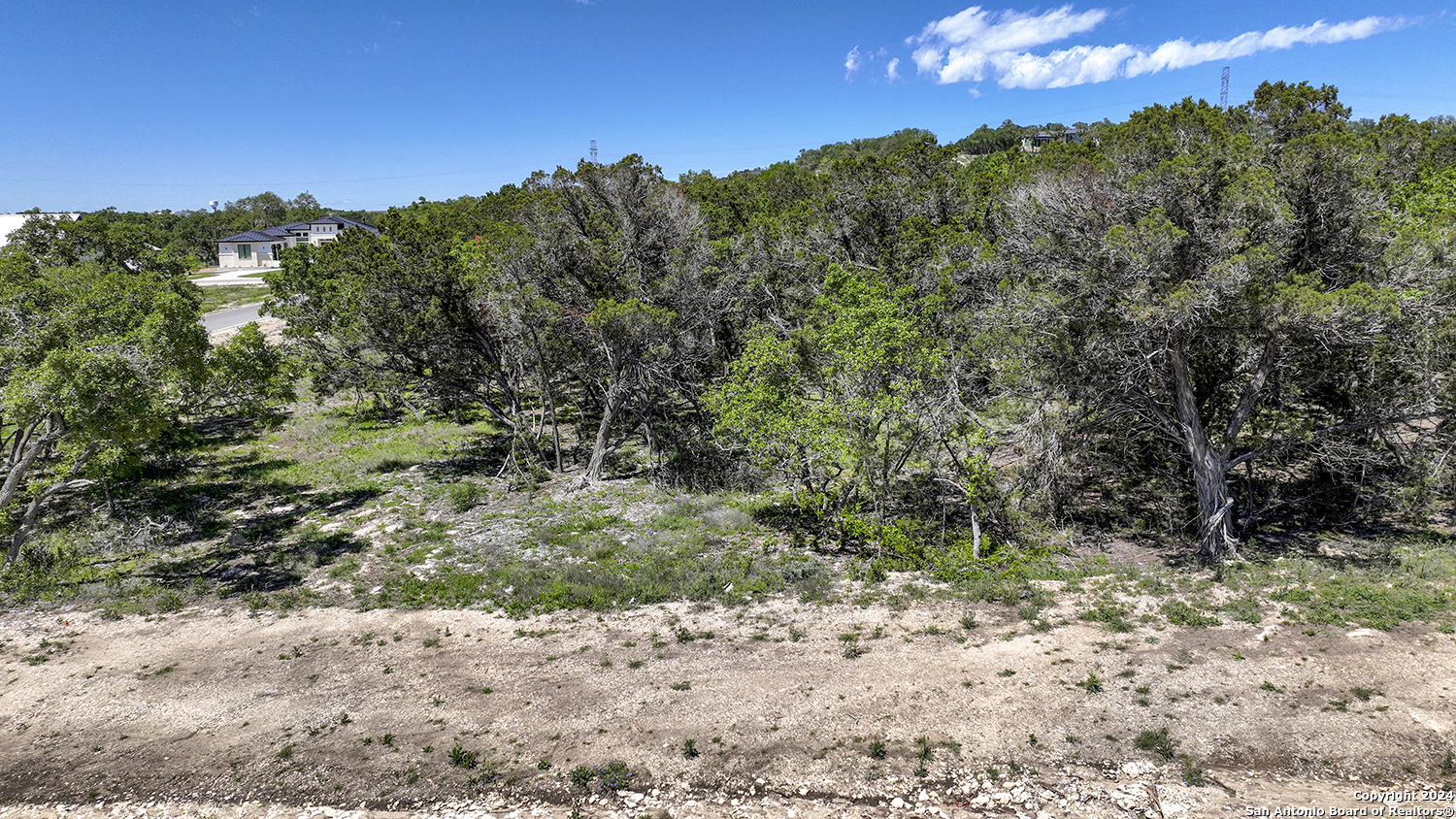 34744 Ansley Rdg Trail Bulverde, TX 78163 - Photo 20 of 39 a view of a yard with a tree