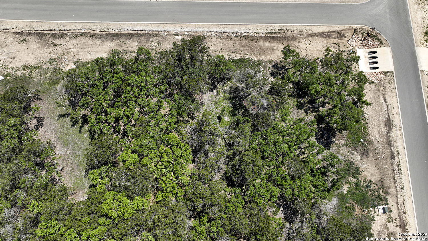 34744 Ansley Rdg Trail Bulverde, TX 78163 - Photo 24 of 39 a close up of a plant in a garden