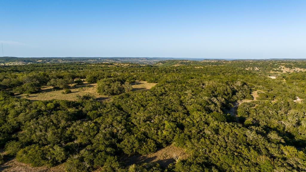 0 Delaware Creek Road Blanco, TX 78606 - Photo 4 of 16 Gallery Image 4