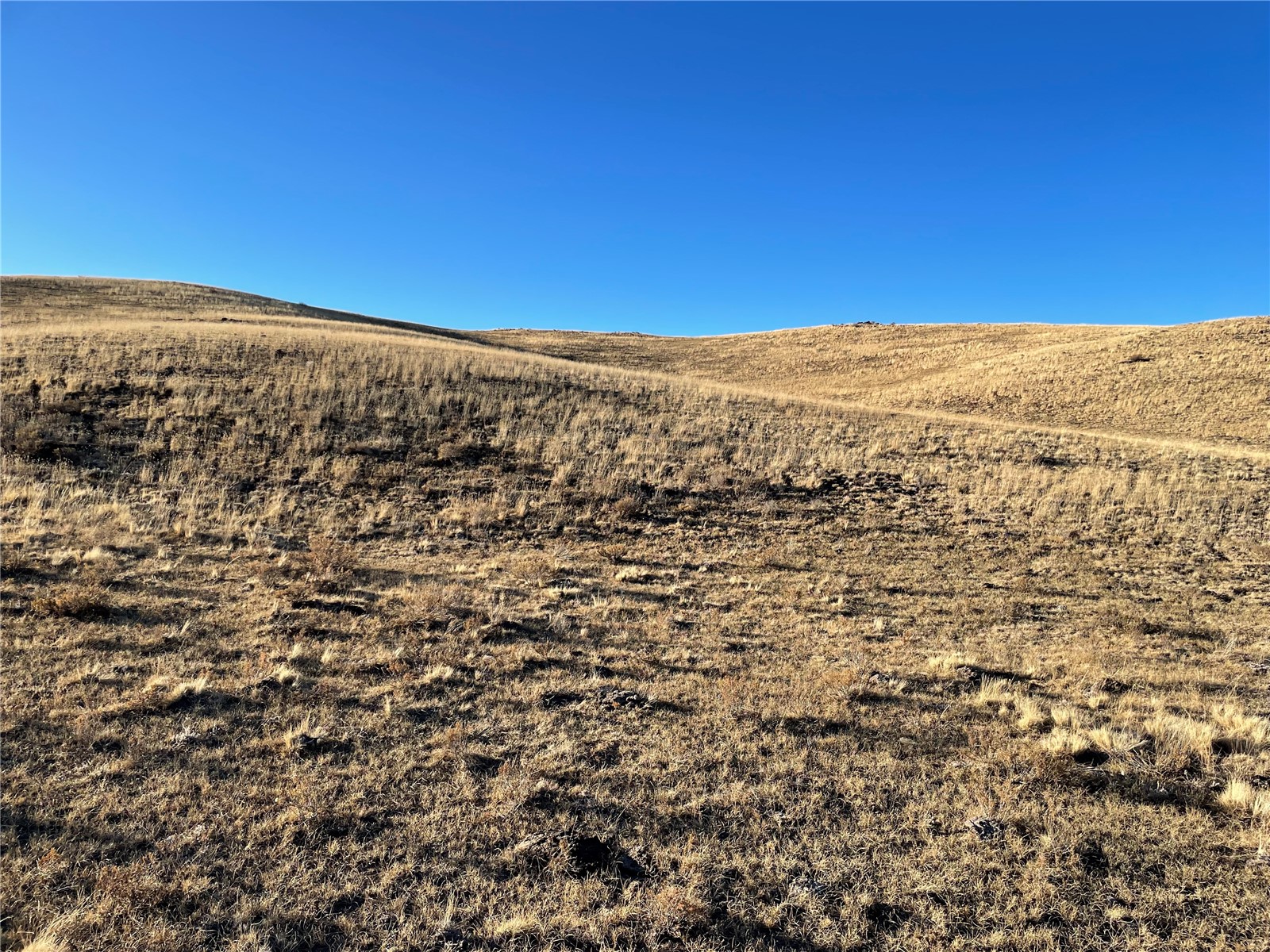 749 Zuni Road Hartsel, CO 80449 - Photo 4 of 11 Gallery Image 4