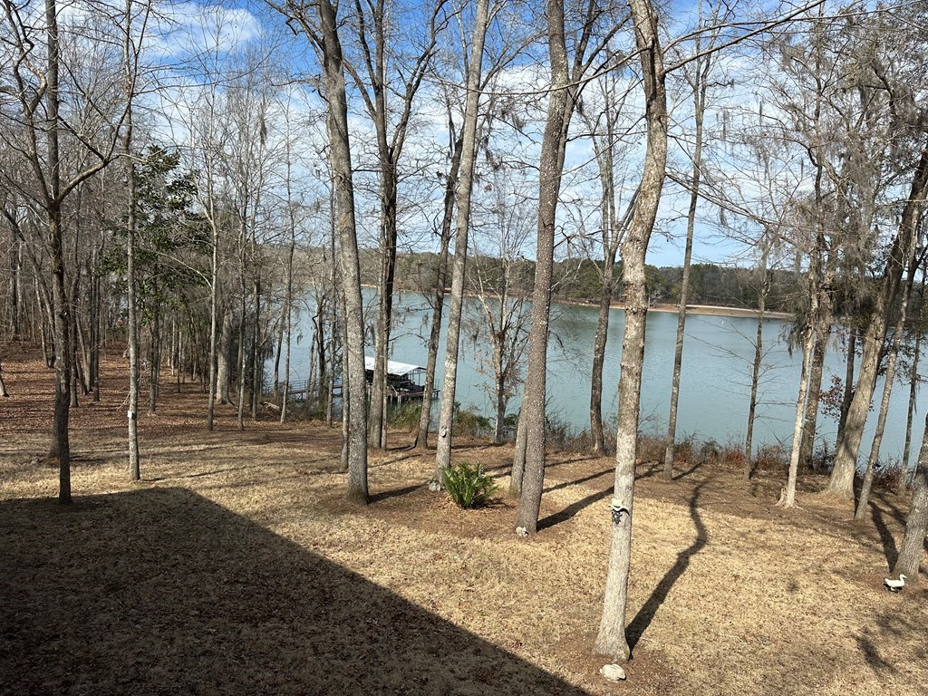 2422 County Road 97 Abbeville, AL 36310 - Photo 26 of 50