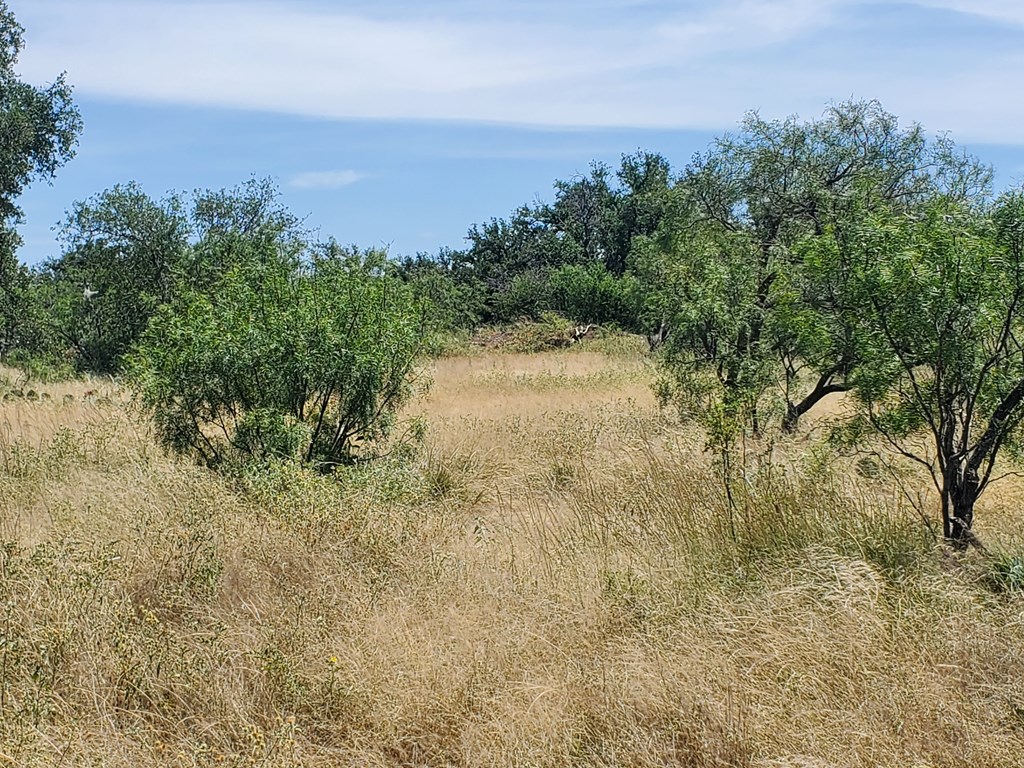 375 Hillside Road, Unit 20 Fort McKavett, TX 76841 - Photo 11 of 15 a view of a yard with a tree