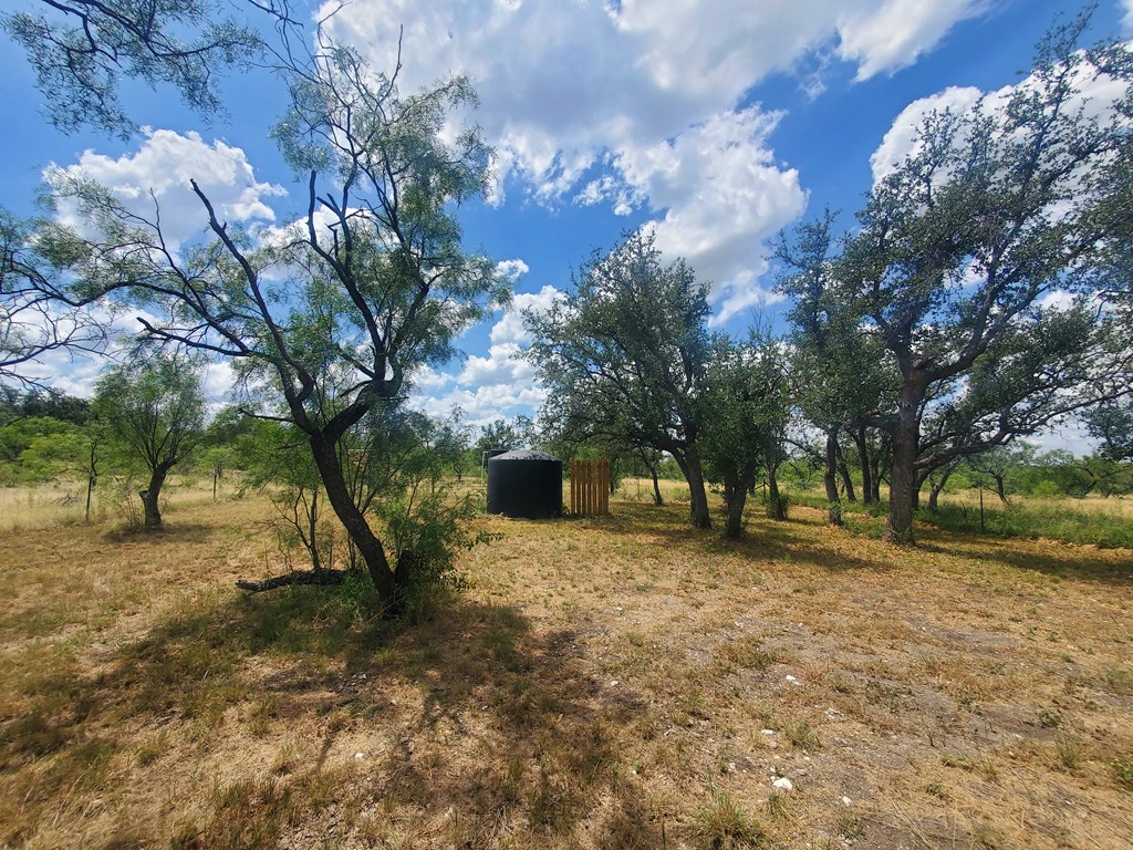 375 Hillside Road, Unit 20 Fort McKavett, TX 76841 - Photo 14 of 15 a view of a yard with a tree