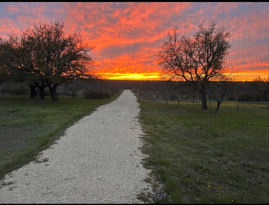 375 Hillside Road, Unit 20 Fort McKavett, TX 76841 - Photo 2 of 15 a view of lake with outdoor space