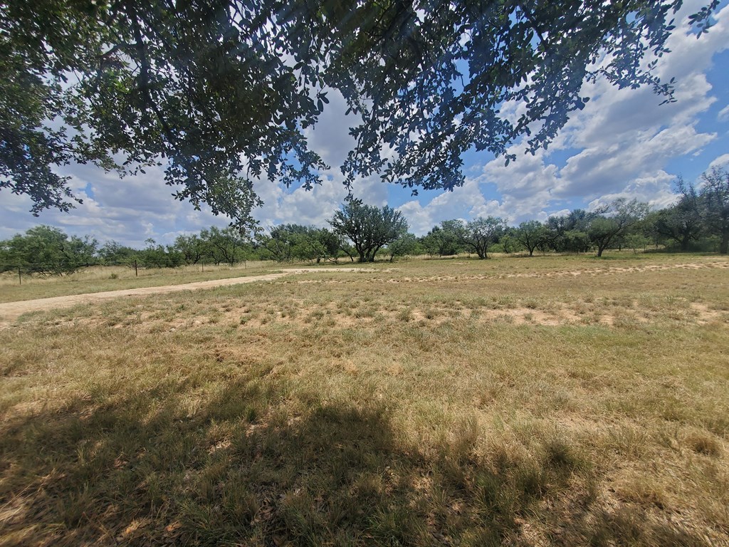 375 Hillside Road, Unit 20 Fort McKavett, TX 76841 - Photo 7 of 15 a view of a field with an trees