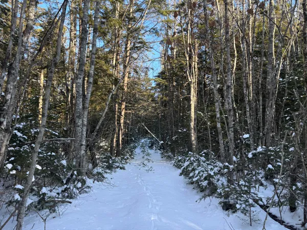 $118,000 | M11-l17 Rogers Point Road, Steuben, ME 04680