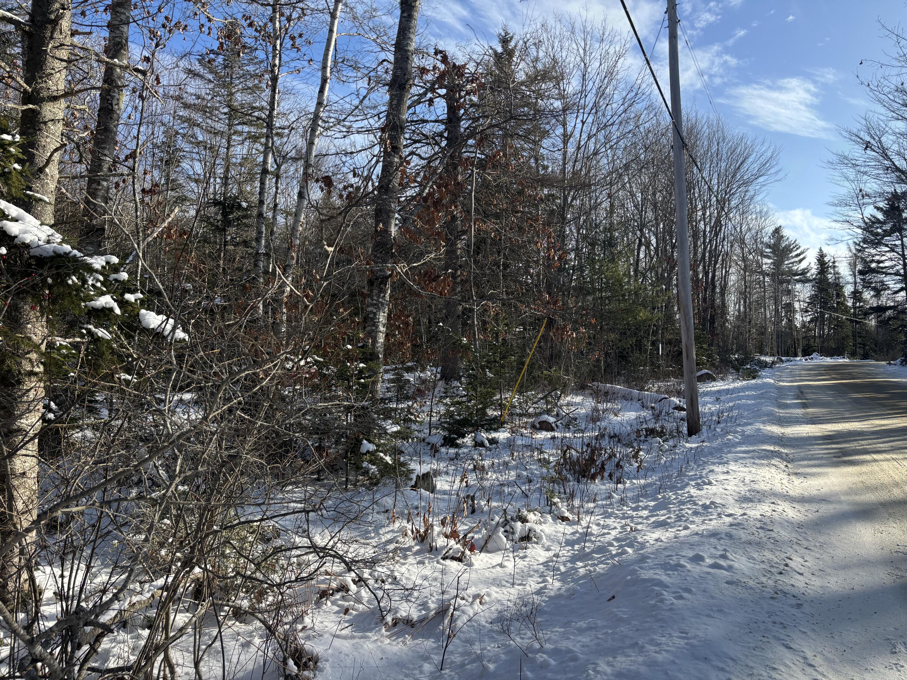 M11-l17 Rogers Point Road Steuben, ME 04680 - Photo 2 of 6 South