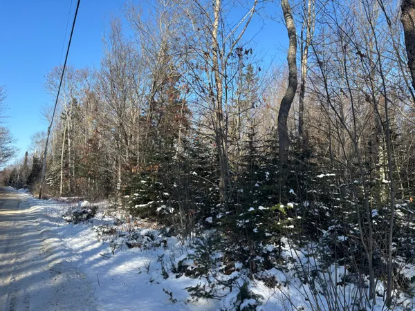 $113,000 | M11-l17 Rogers Point Road, Steuben, ME 04680