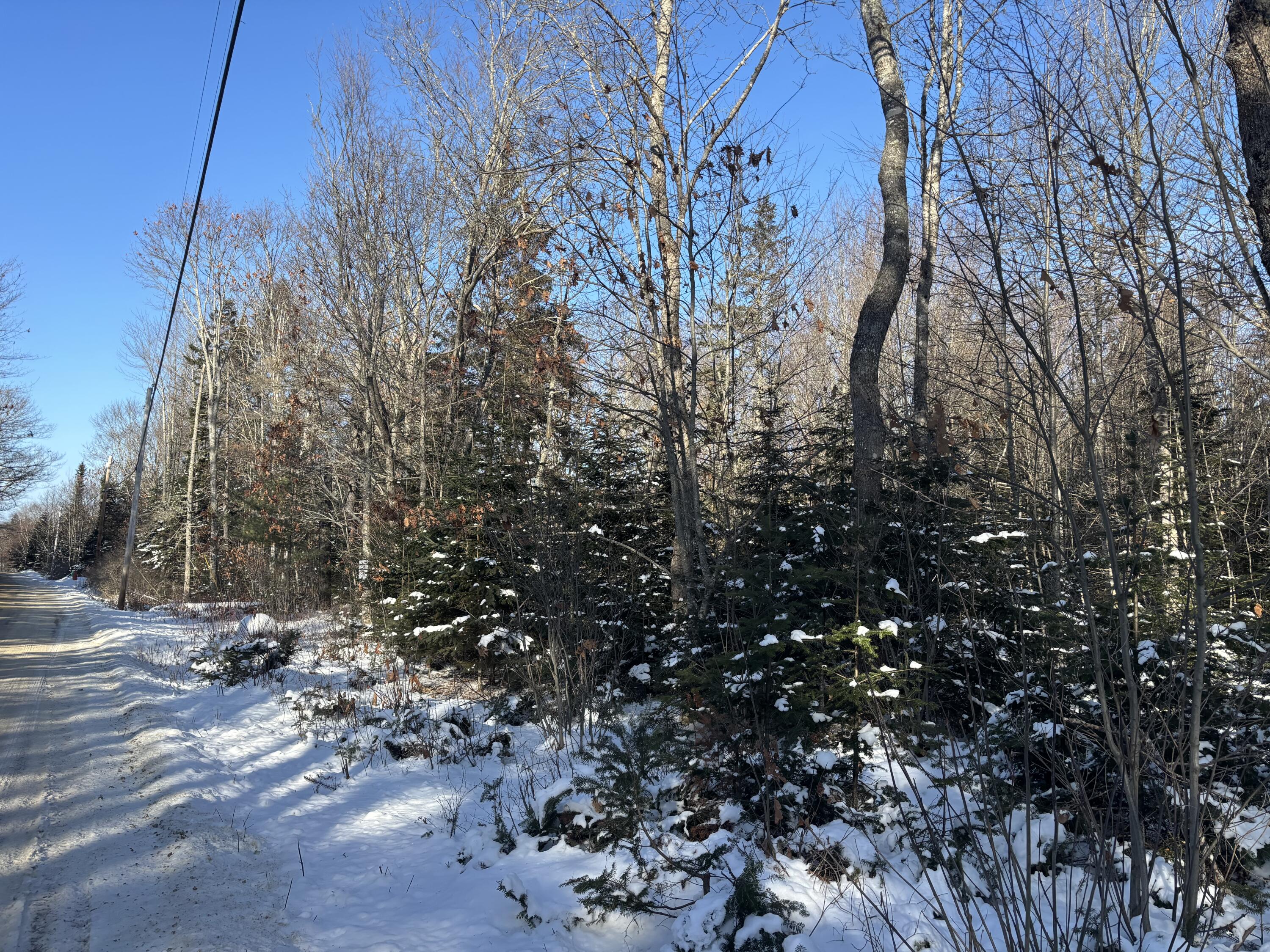 M11-l17 Rogers Point Road Steuben, ME 04680 - Photo 3 of 6 North