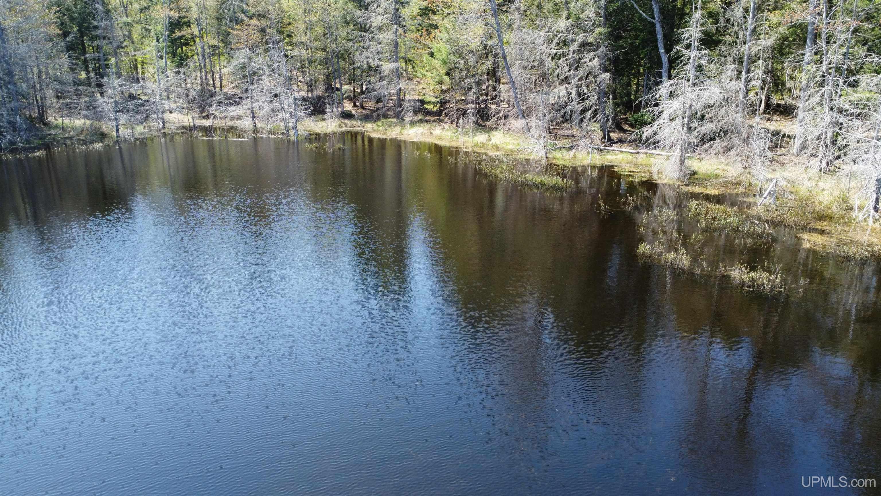Off Adams Trail Shingleton, MI 49884 - Photo 12 of 46