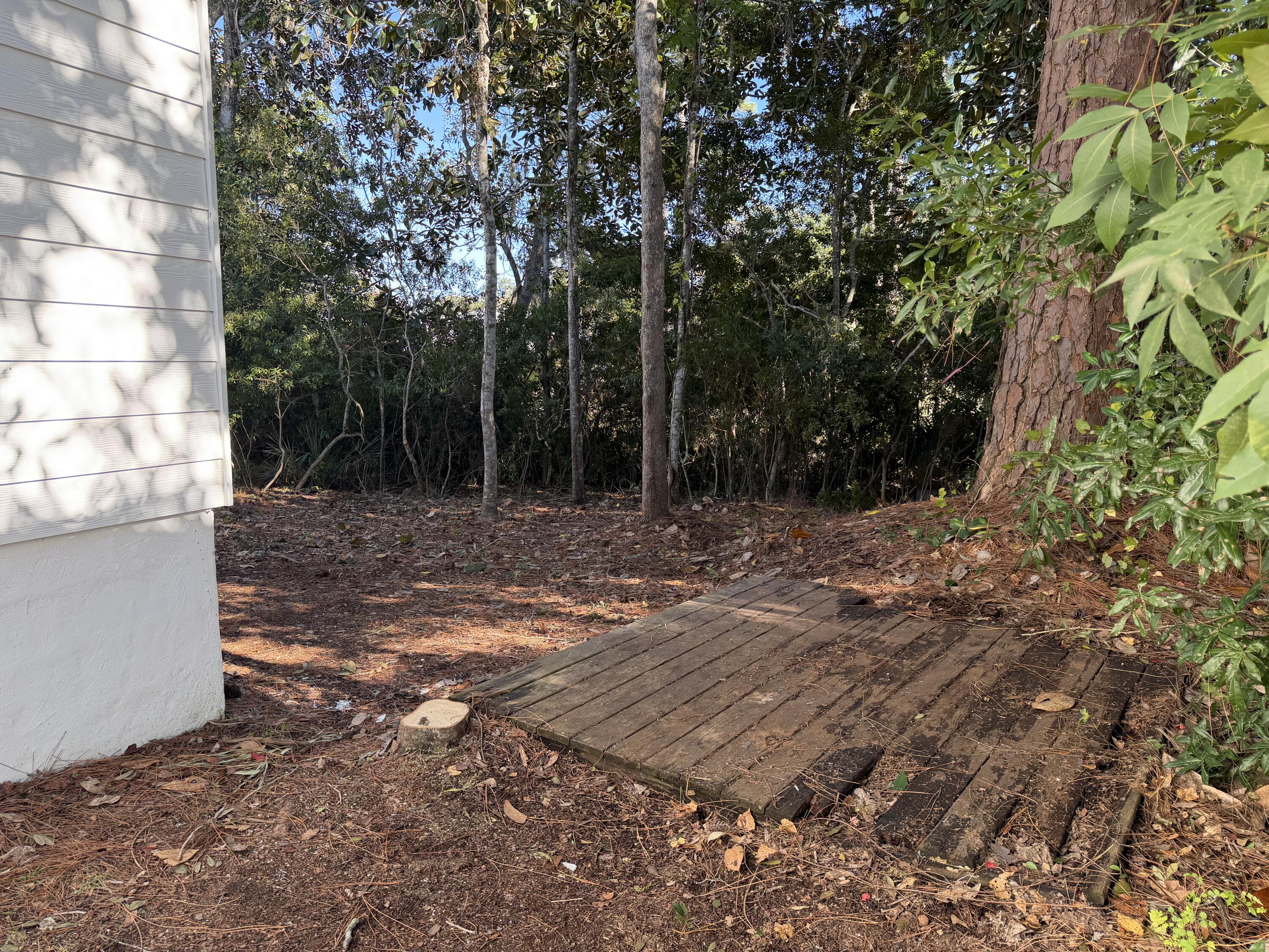 114 Rearden Way Santa Rosa Beach, FL 32459 - Photo 24 of 25 a view of a backyard with trees
