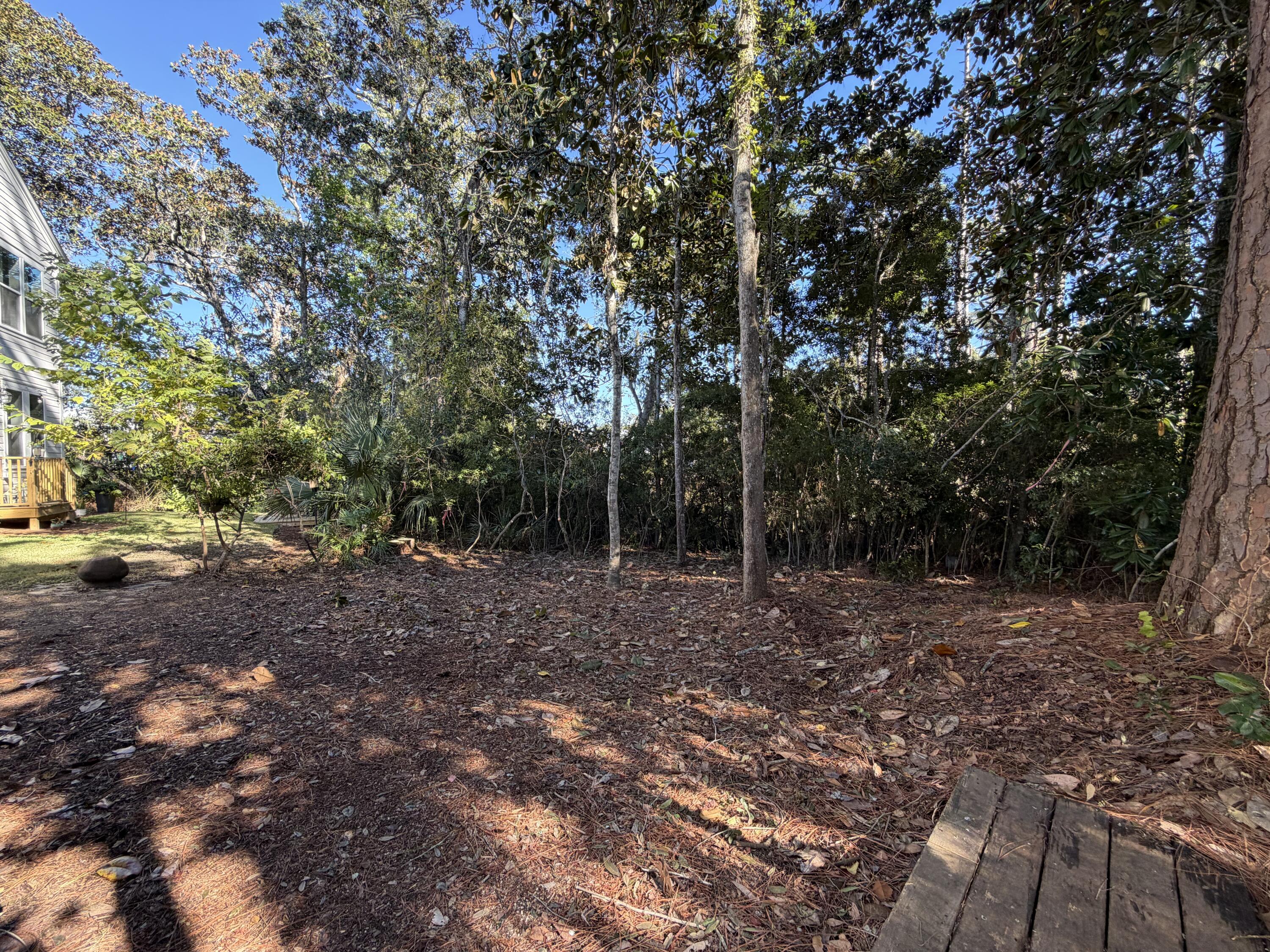 114 Rearden Way Santa Rosa Beach, FL 32459 - Photo 25 of 25 a view of a forest with trees in the background
