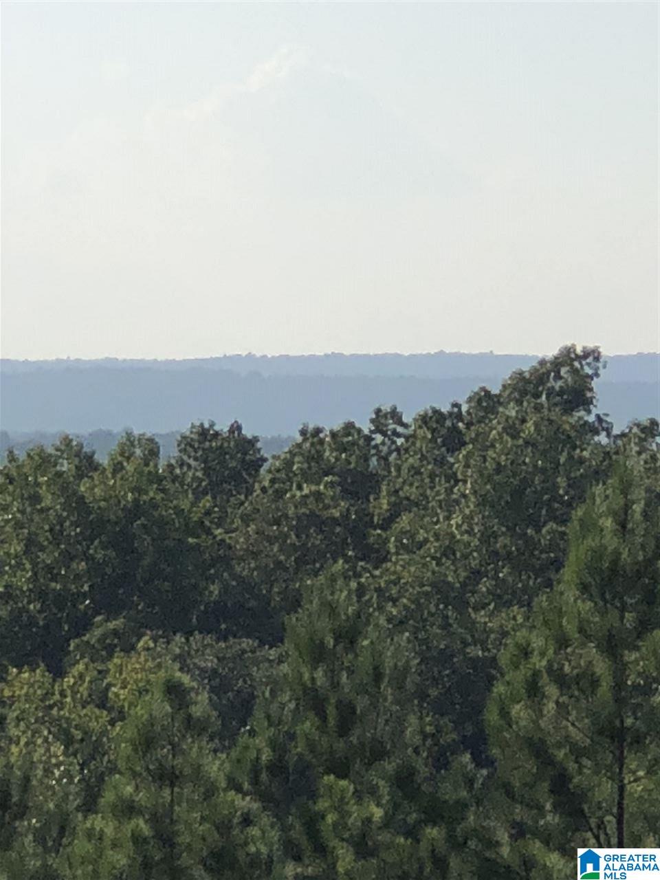 1 Highway 69, Unit 1 Gallion, AL 36742 - Photo 7 of 8