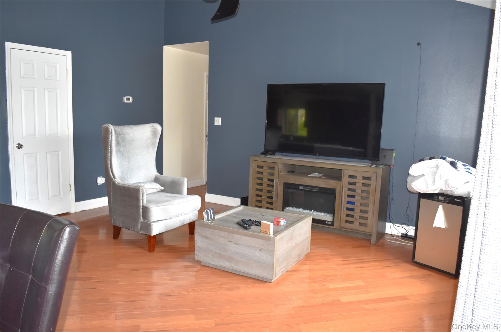21 Walden Estates Road Walden, NY 12586 - Photo 4 of 32 Living room featuring light wood-style floors and a glass covered fireplace