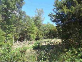 0 Winstead Road Thorn Hill, TN 37881 - Photo 3 of 13 Photo 4