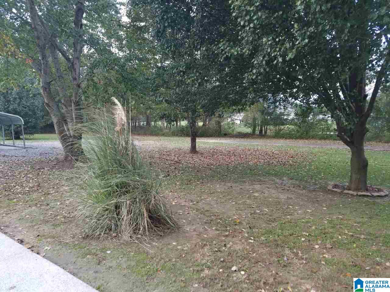 860 Union Point Street Altoona, AL 35952 - Photo 11 of 13