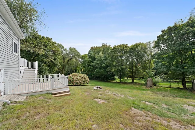 a view of a park with large trees