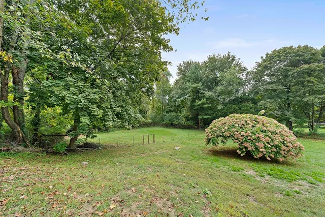 a garden with a trees in the background