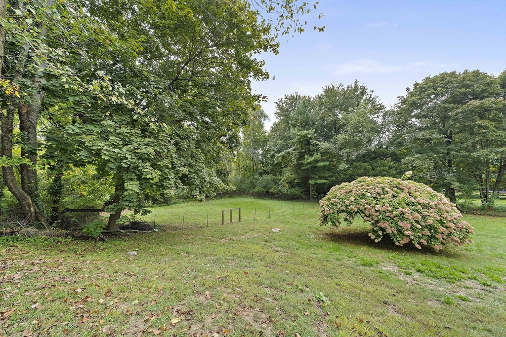 23 Reed Place Whitman, MA 02382 - Photo 28 of 35 a garden with a trees in the background