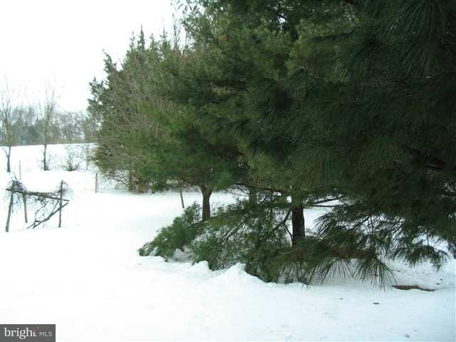 79 Ruppert Road East Berlin, PA 17316 - Photo 15 of 17 Gallery Image 15