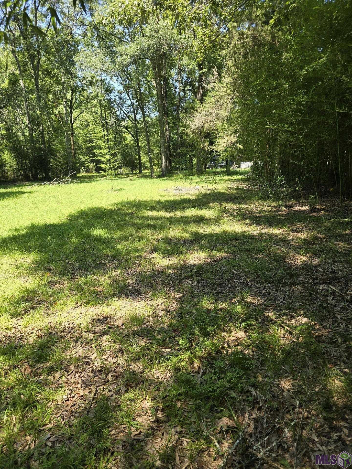 7215 Lower Zachary Road Zachary, LA 70791 - Photo 1 of 6