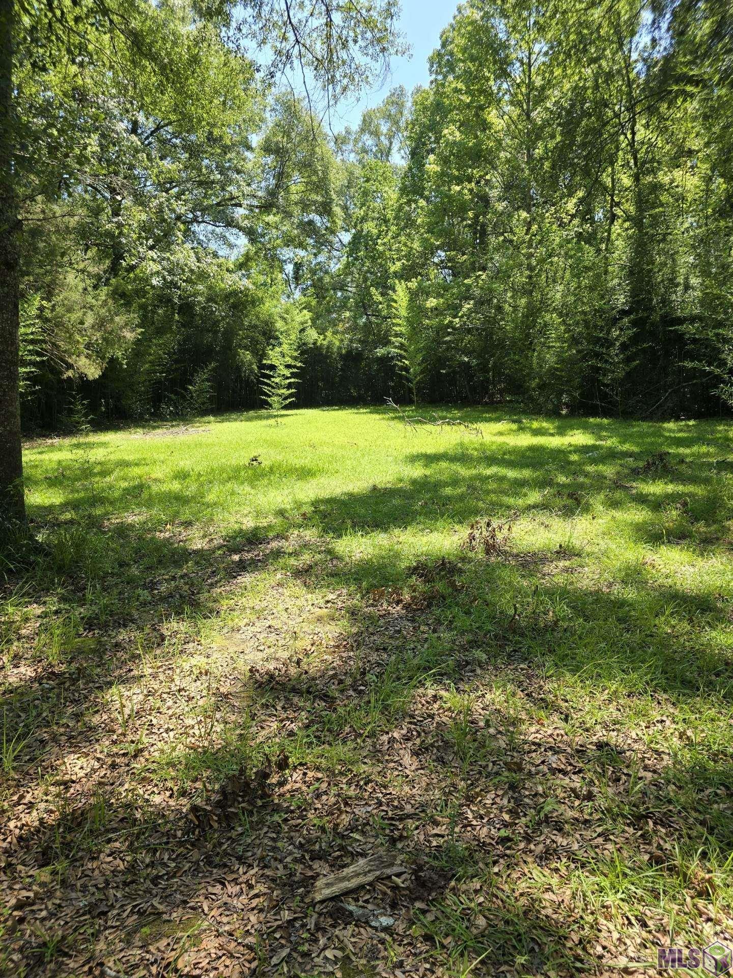 7215 Lower Zachary Road Zachary, LA 70791 - Photo 2 of 6