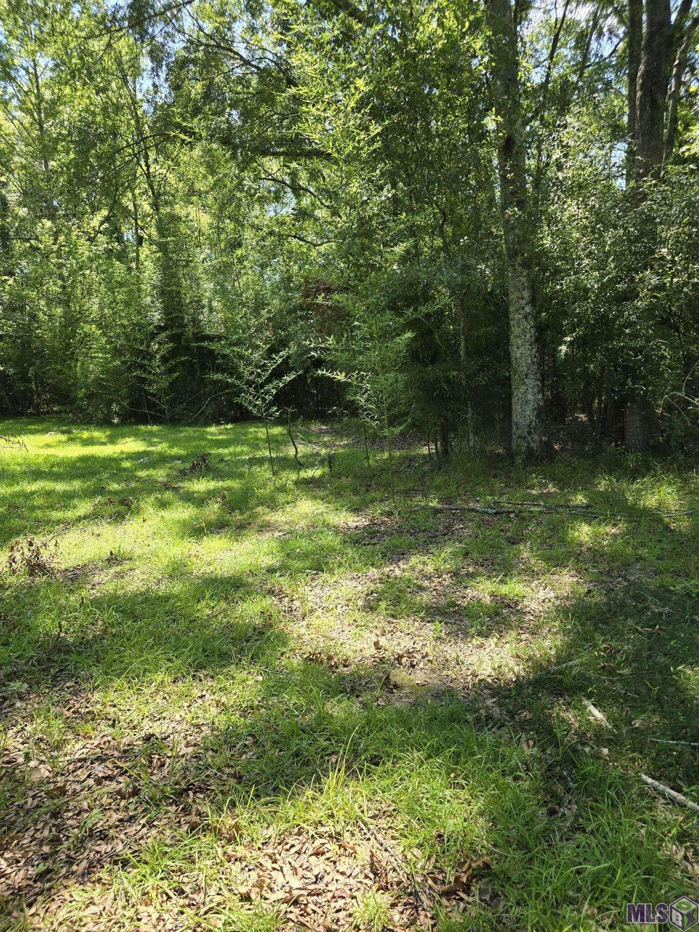 7215 Lower Zachary Road Zachary, LA 70791 - Photo 3 of 6