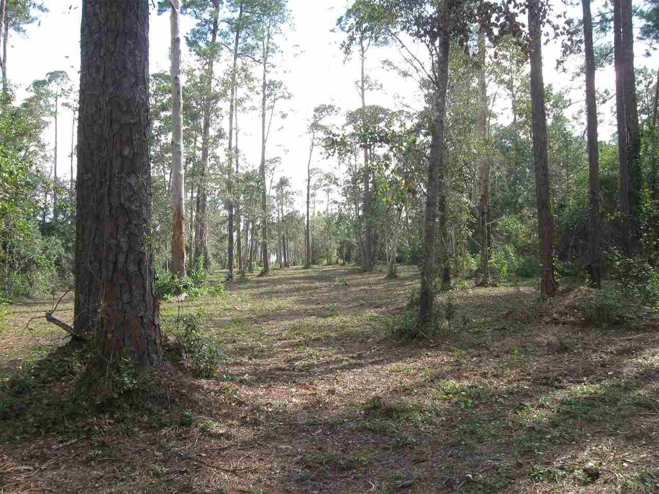 3100 Robinson Point Road Milton, FL 32583 - Photo 3 of 8