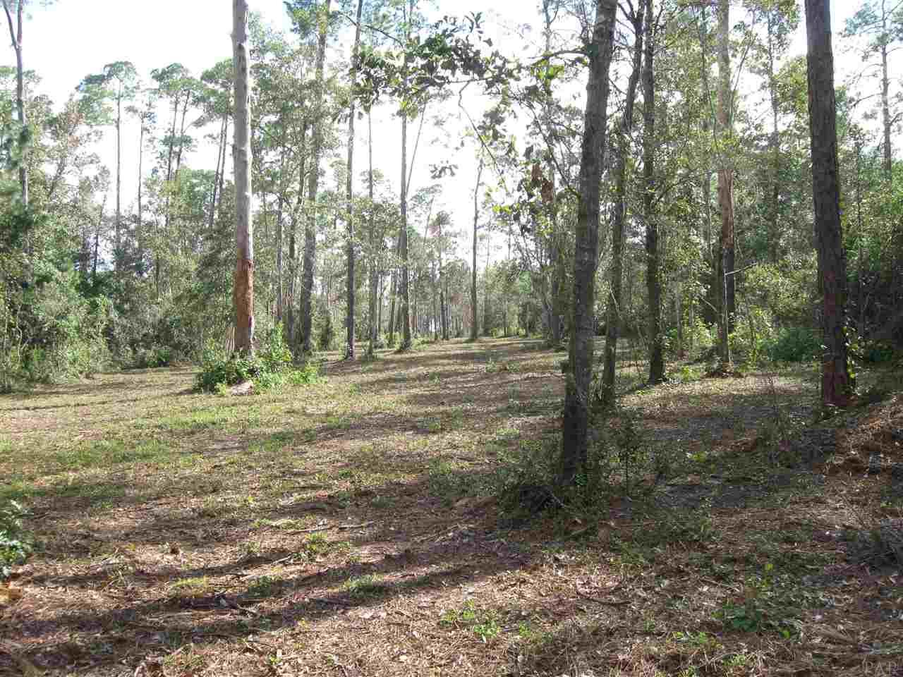 3100 Robinson Point Road Milton, FL 32583 - Photo 7 of 8