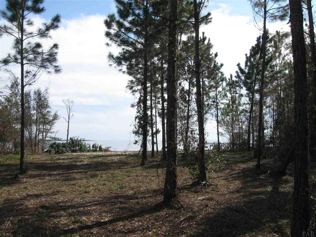 3100 Robinson Point Road Milton, FL 32583 - Photo 8 of 8