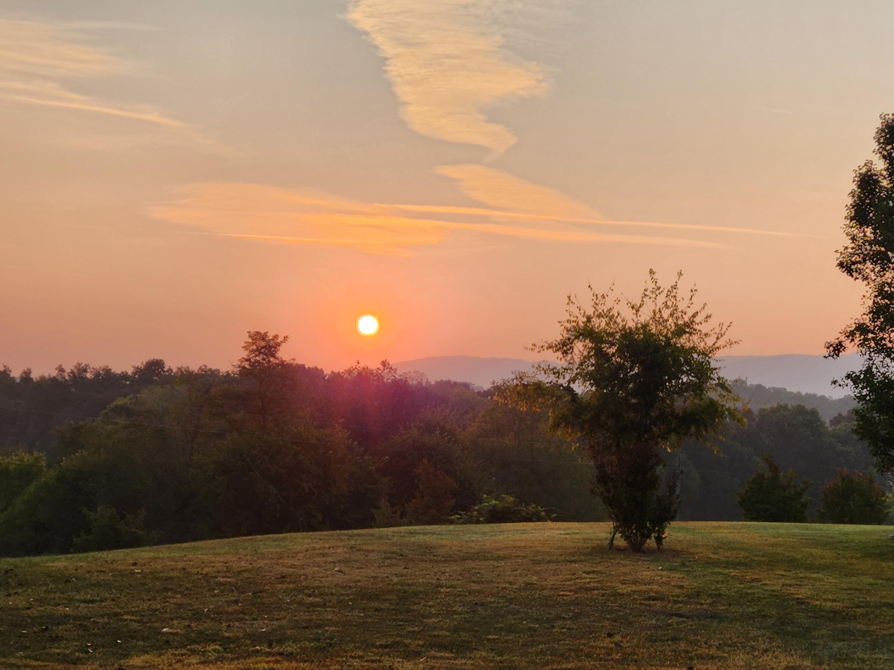 645 Gray Road Greeneville, TN 37743 - Photo 54 of 100 20220917_073529