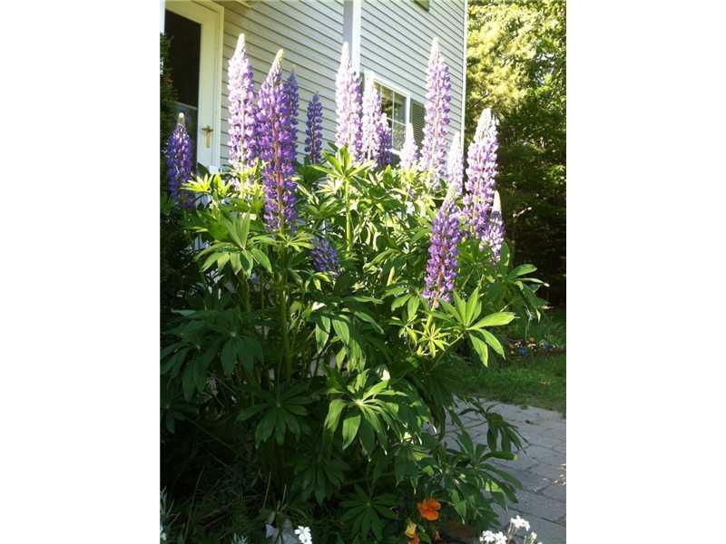 35 Vista Ridge Glenburn, ME 04401 - Photo 26 of 26 Yard/Garden.