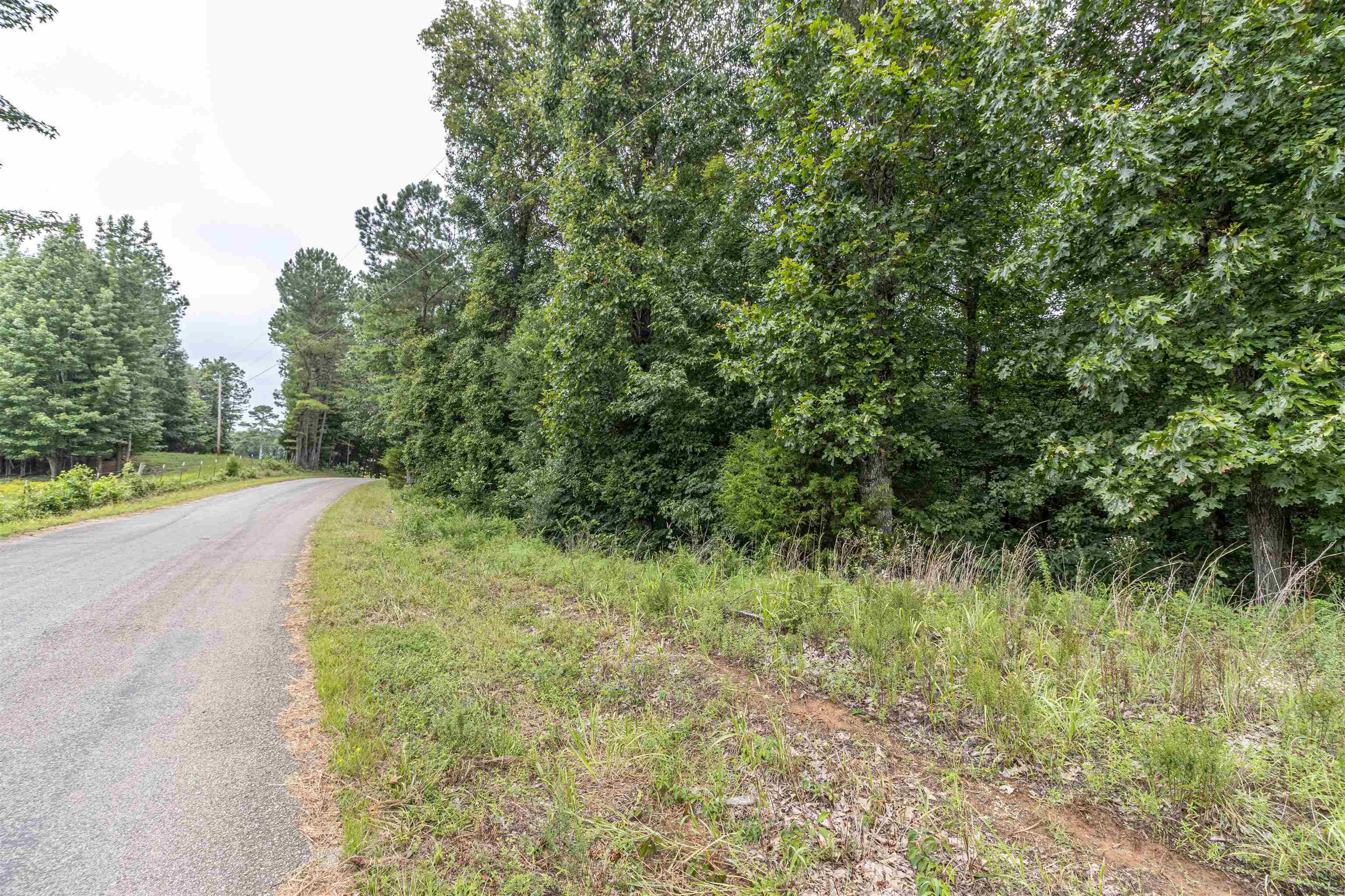 1386 C Elvin Weeks Road Bethel Springs, TN 38315 - Photo 2 of 11