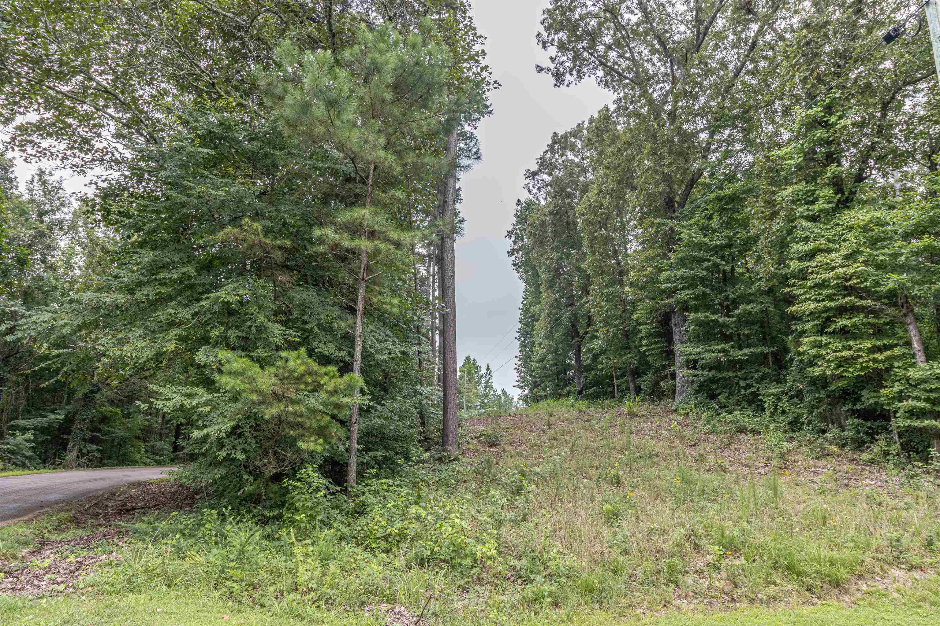 1386 C Elvin Weeks Road Bethel Springs, TN 38315 - Photo 9 of 11